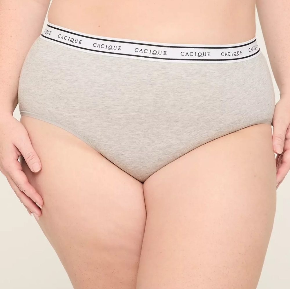 NWT Cacique 26/28 High-Leg Cotton Brief With Wide Waistband Gray